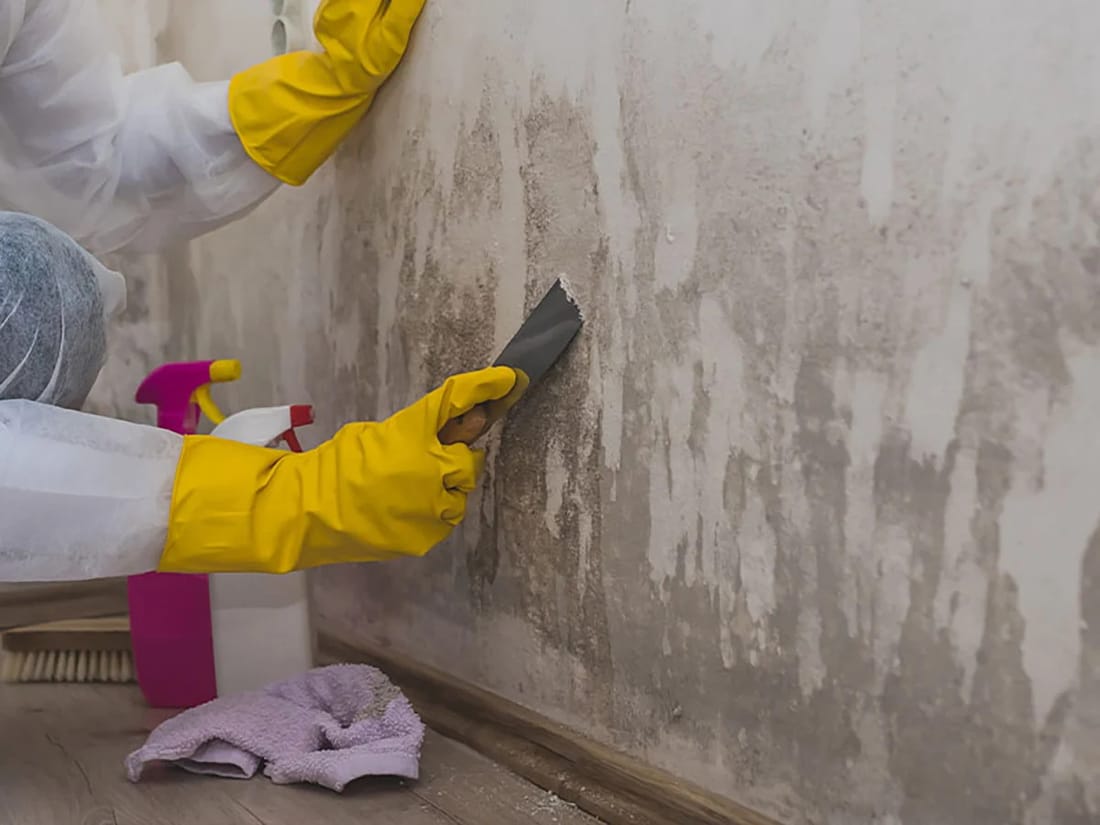 Commercial Mold Remediation
