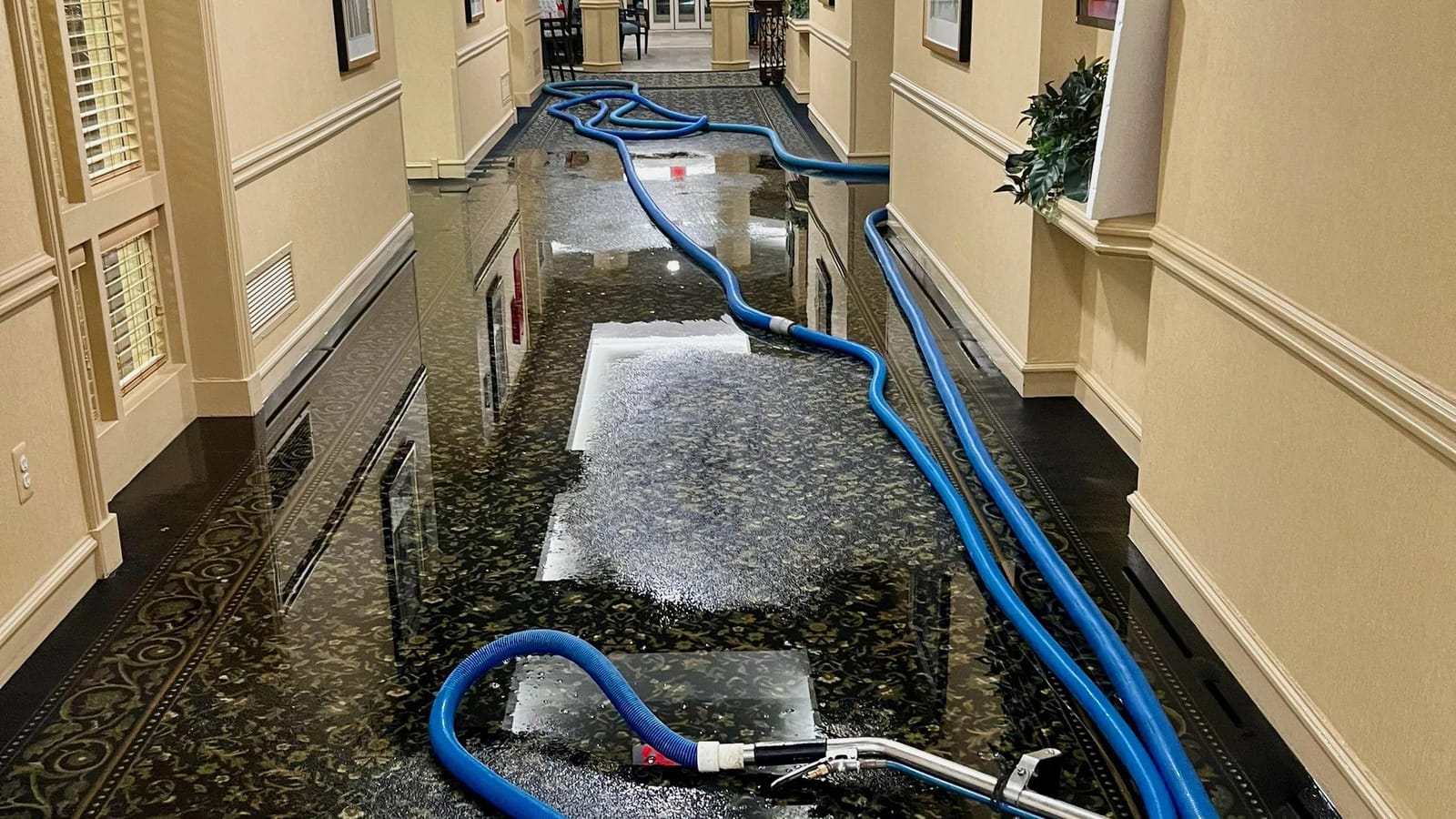Bluecrest Water Damage Restoration Madison water damage restoration in Madison, WI