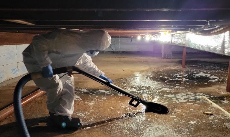 Sewage Backup Cleanup