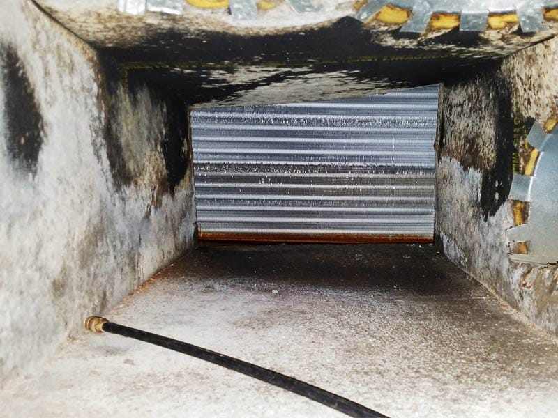 HVAC and Ductwork Mold Removal