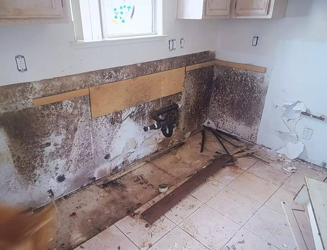 Bathroom and Kitchen Mold Removal