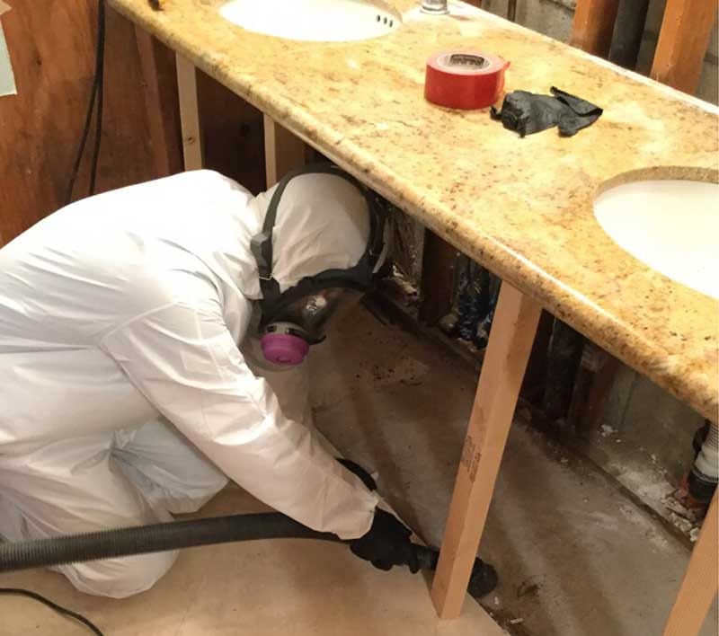 Commercial Mold Remediation and Removal
