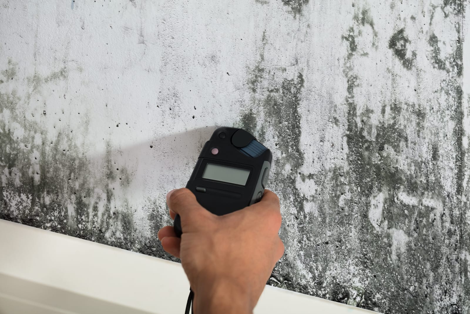 Mold Inspection and Testing