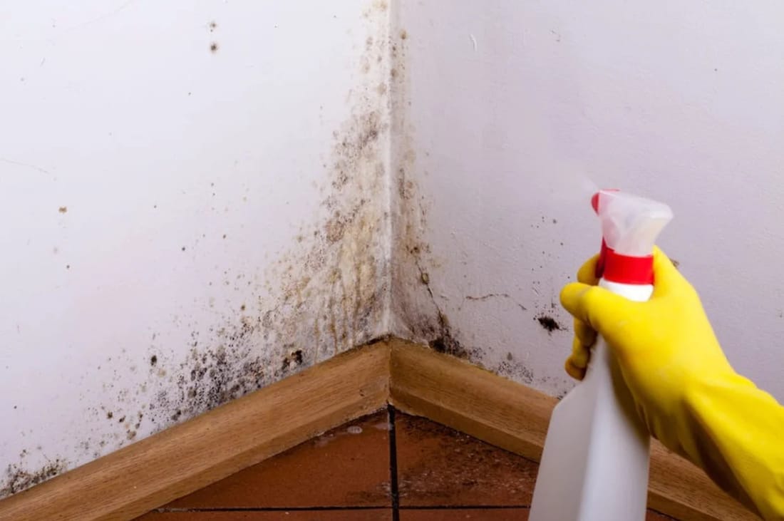 Post-Remediation Verification and Compliance Testing