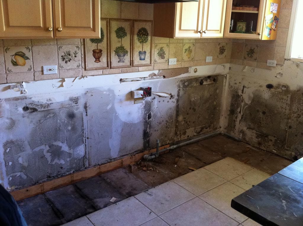 Bathroom and Kitchen Mold Removal
