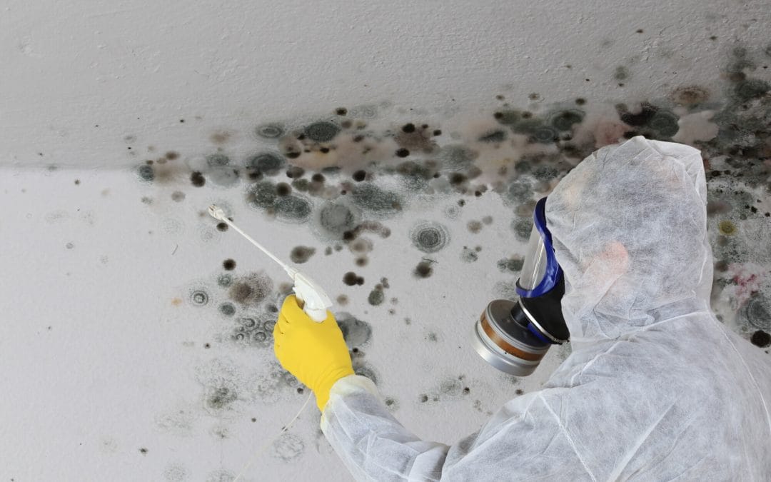 Clarity Mold Remediation Houston service in Houston, TX