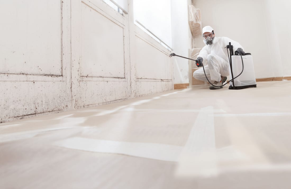 Mold Clearance Testing and Verification
