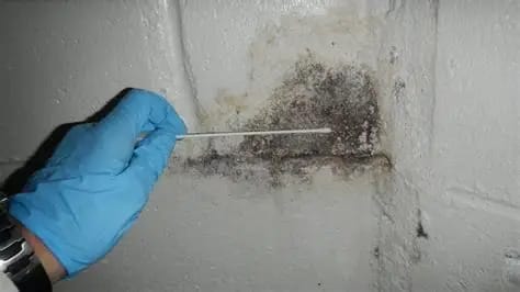 Mold Inspection and Testing