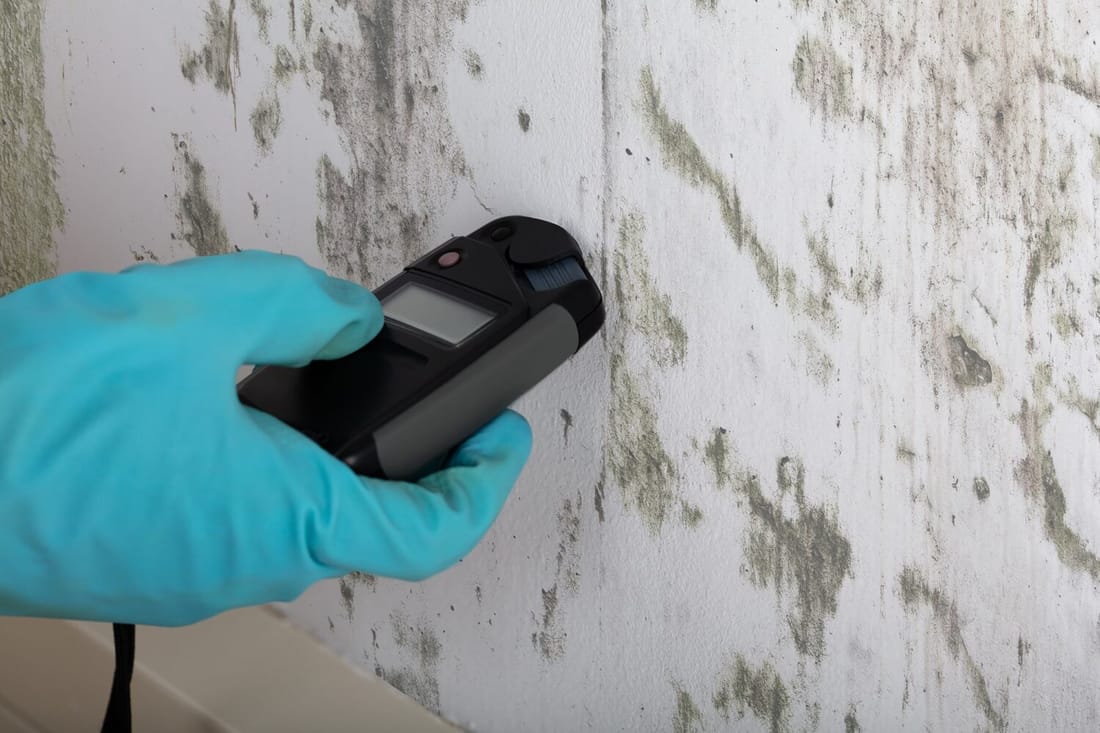 Real Estate and Pre-Sale Mold Inspections