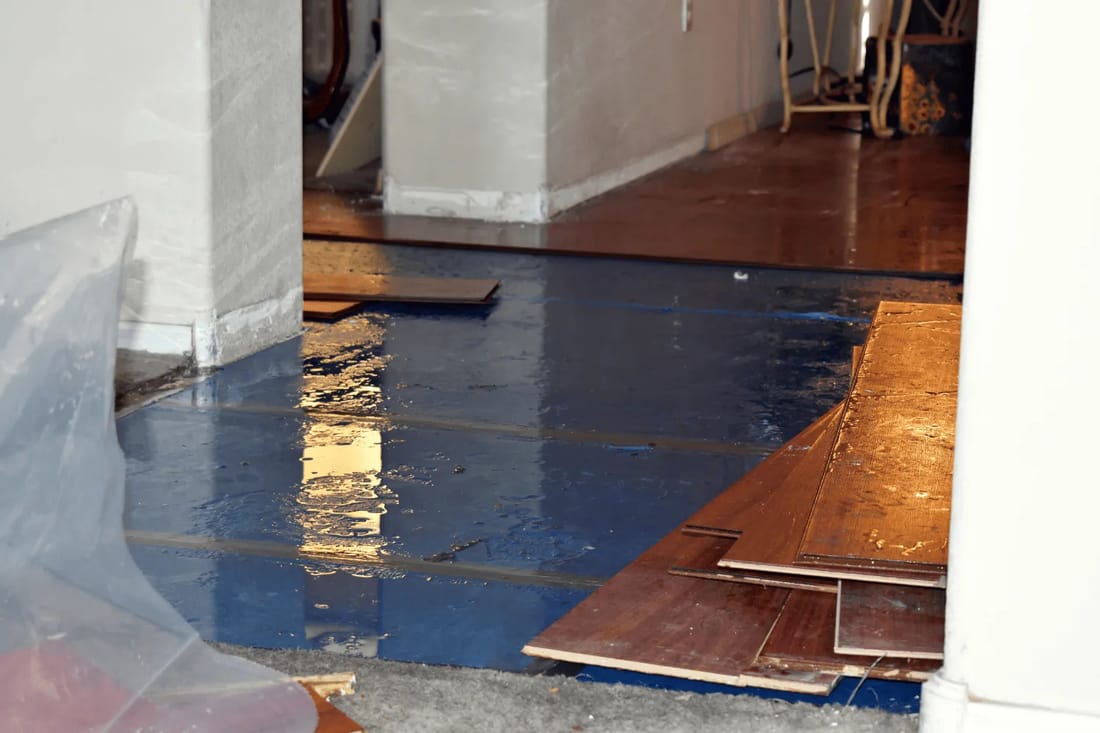 Water Damage Restoration and Dry-Out