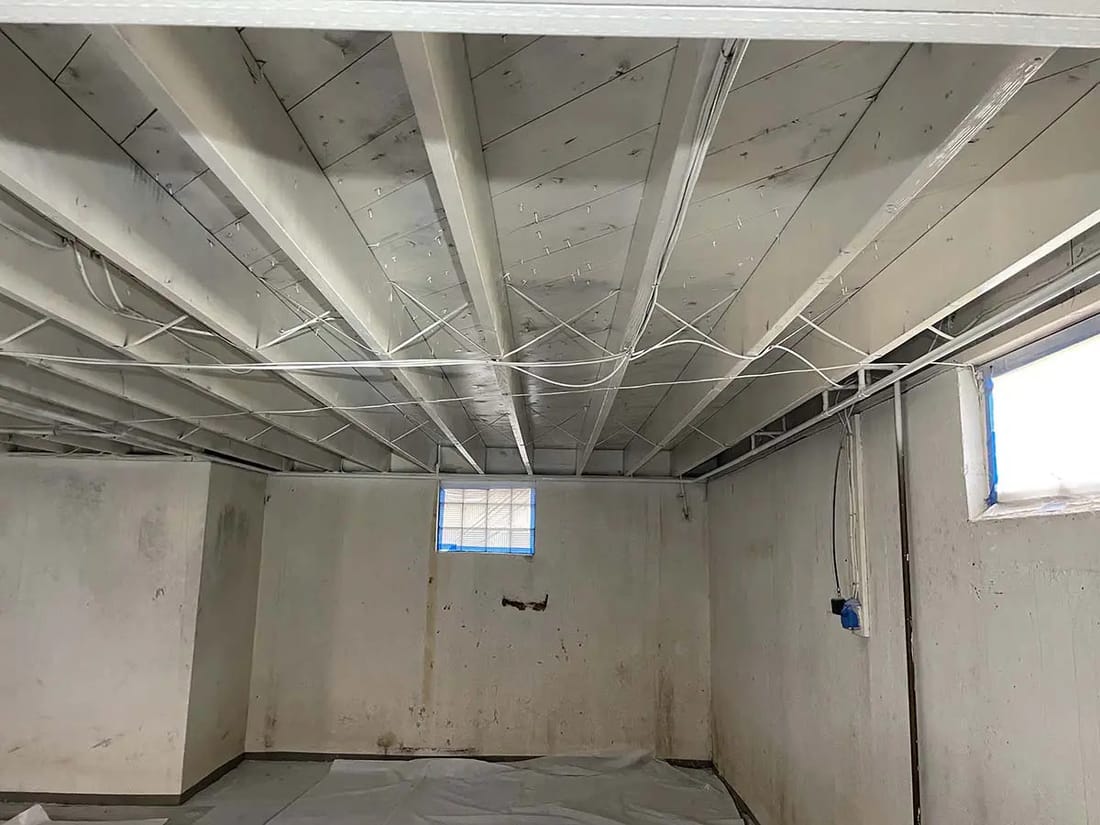 Whole-House Mold Remediation