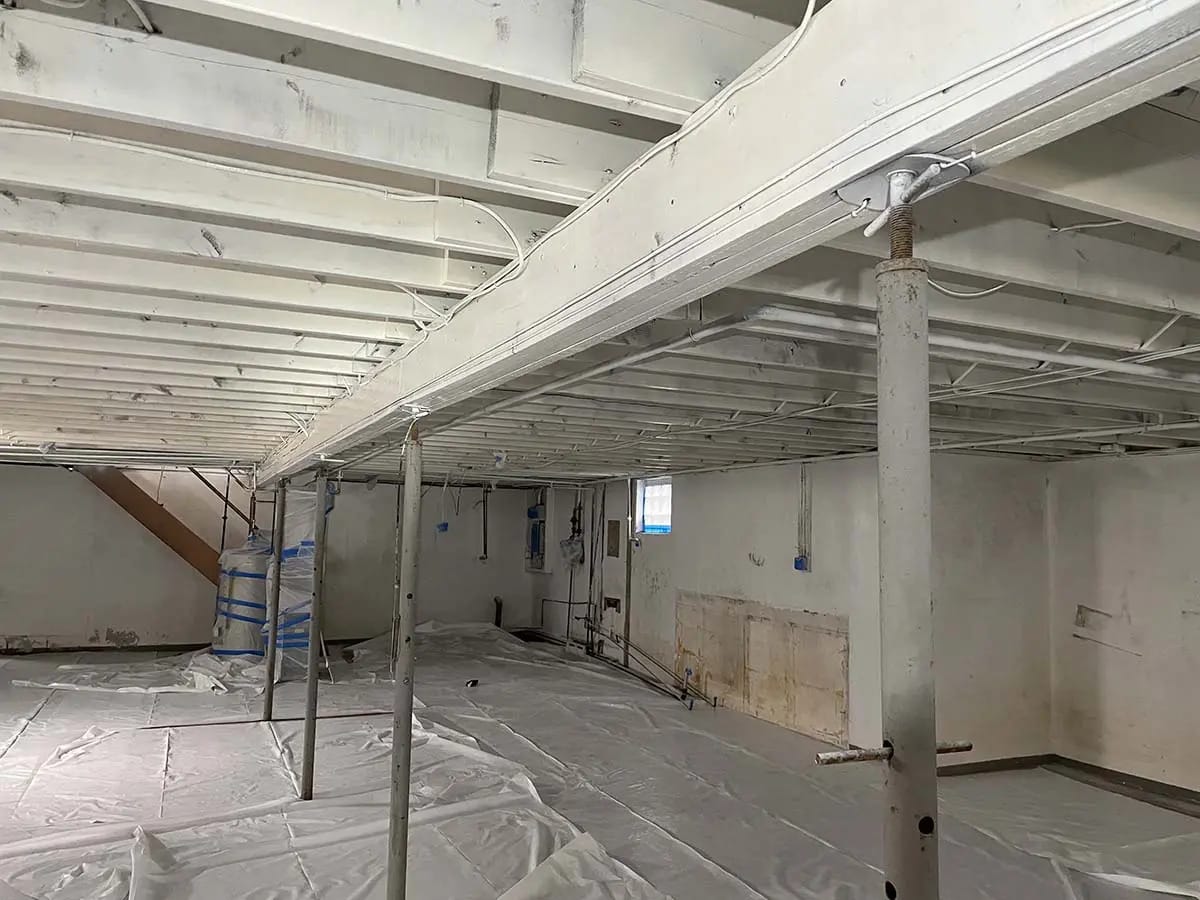 Whole-House Mold Remediation