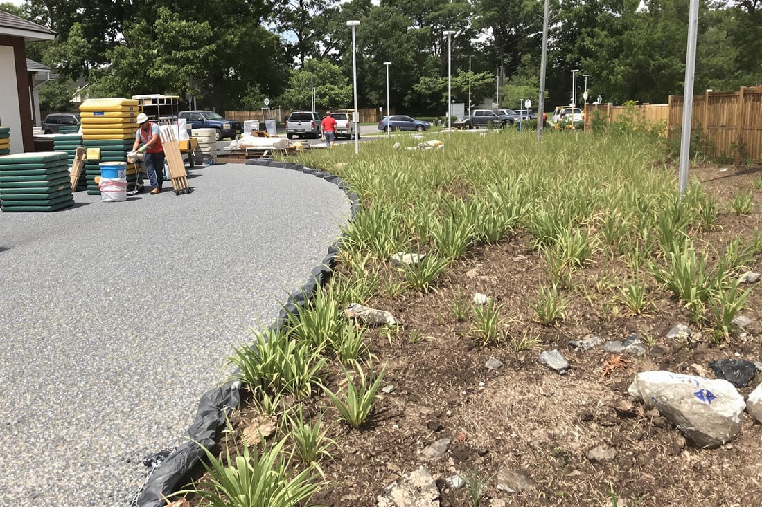 Native and Wetland Restoration Hydroseeding