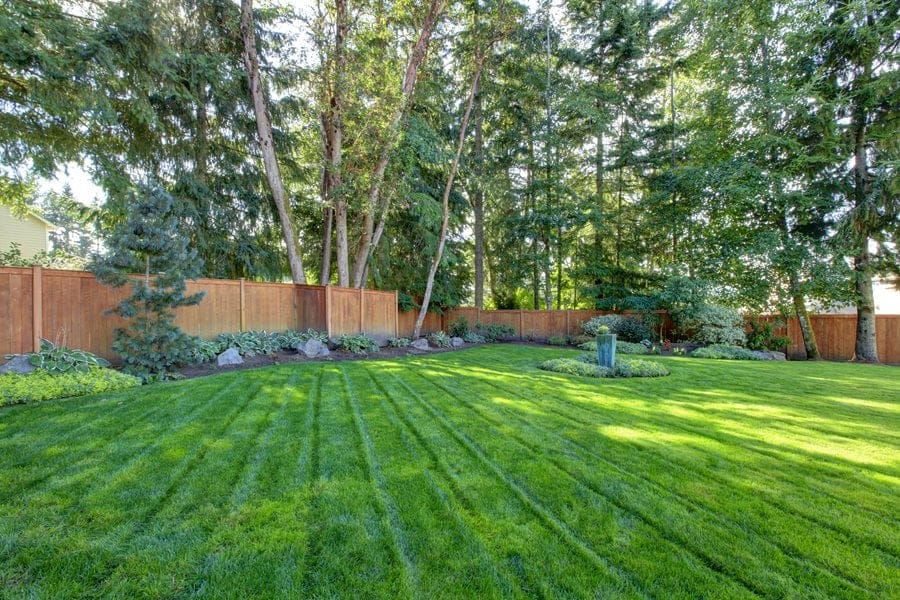 New Lawn Hydroseeding