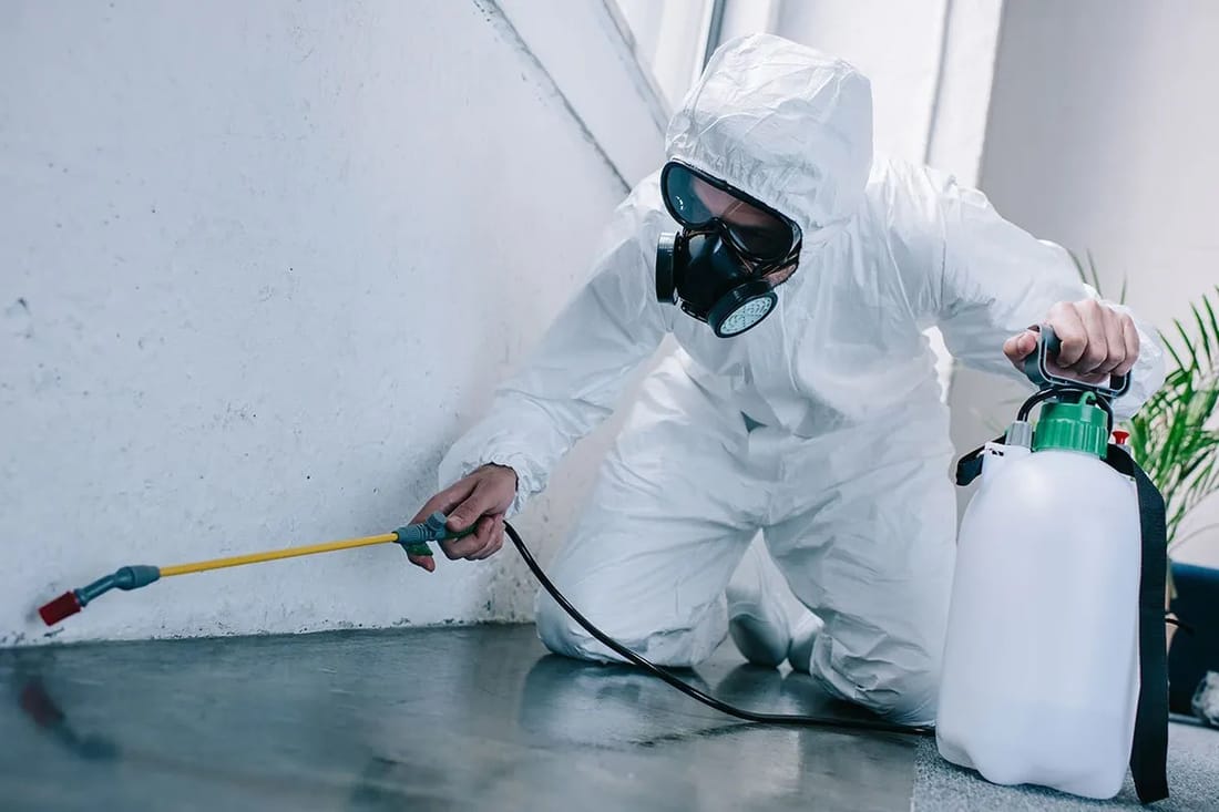 Commercial Ant Control