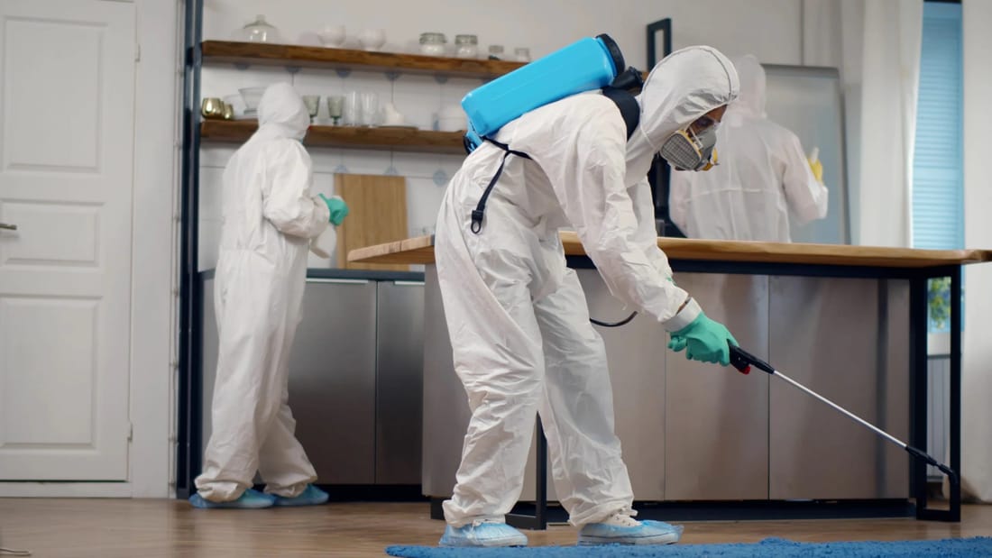 Ridgeline Pest Control Beaumont building pest control in Beaumont, TX