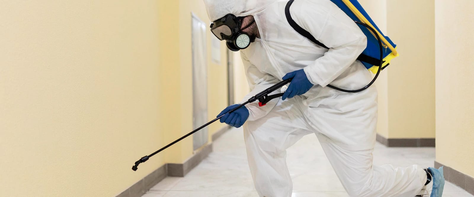 Mosquito Control