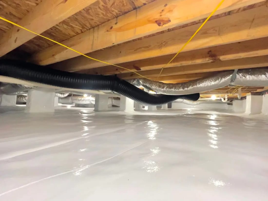 Attic and Crawl Space Pest Solutions