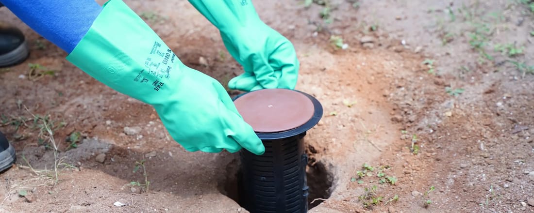 Termite Control