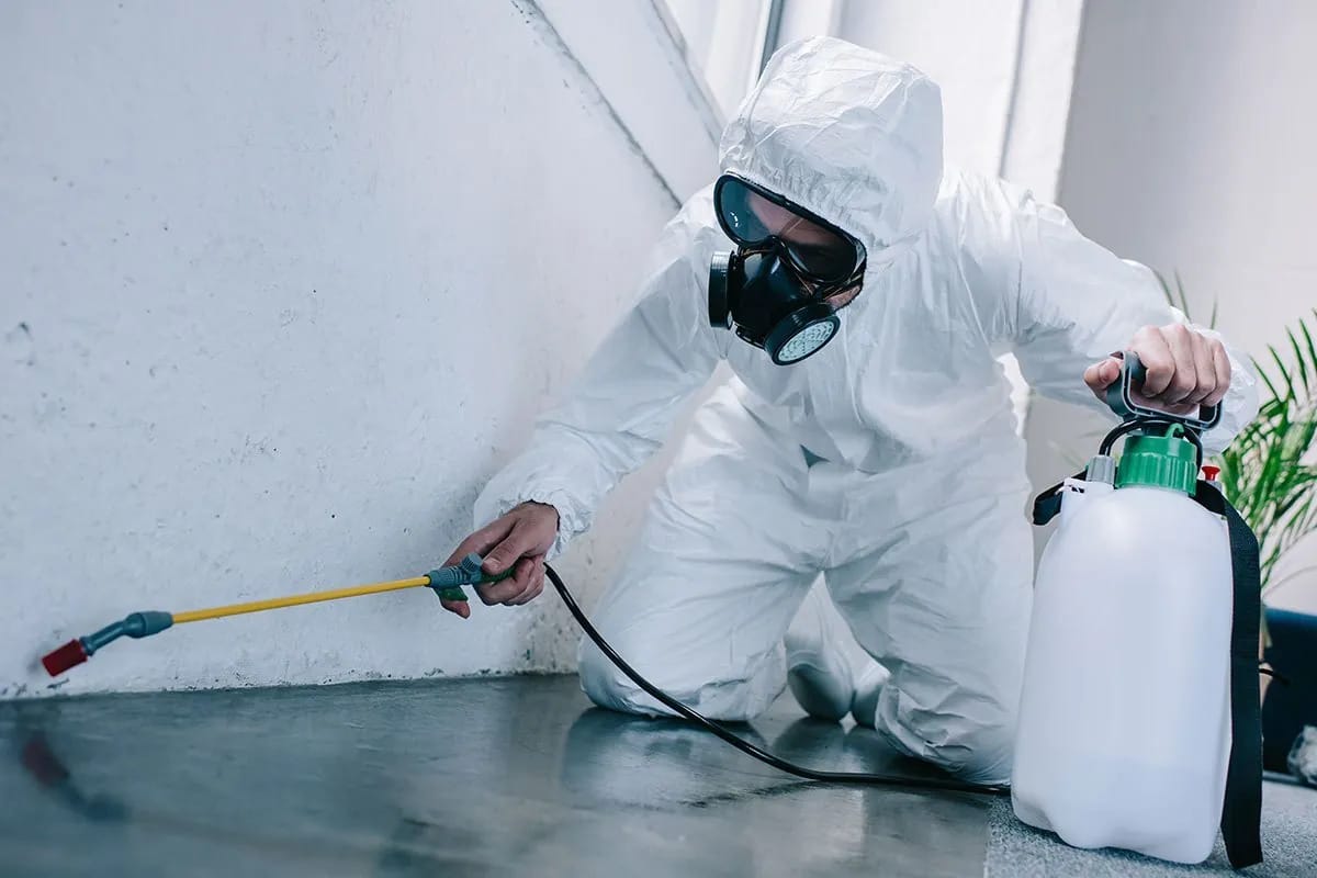 Termite Control